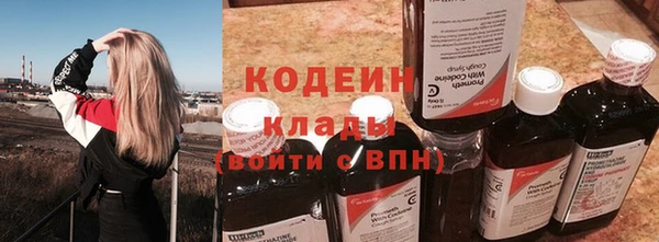 прущие грибы Алзамай